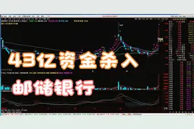 中国巴菲特李录43亿买入邮储银行，想干什么？视频封面