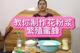 教你制作发酵蜂粮，用做好的花粉浆繁殖蜜蜂，让蜂群迅速起飞视频封面