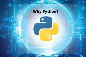 我这波利用python进行Excel数据分析，办公室的小姐姐让我教她！视频封面