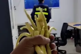 司机拉竹笋过“绿通”因不新鲜被拒 官方致歉：退费并三倍赔偿视频封面