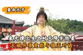 开国皇帝朱元璋竟是神龙转世，出生时天降紫微星，竟然会操控雷电视频封面