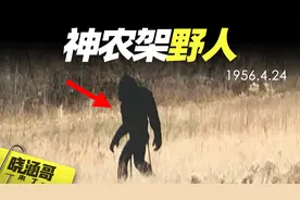 神农架野人之谜，数千目击报告，官方调查队出动，野人到底存在吗视频封面