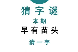 字谜：早有苗头，打一字，谜底简单有趣
