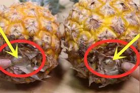 菠萝甜不甜？看一眼这里就知道，一挑一个准，这个方法真管用视频封面