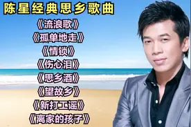 陈星经典思乡歌曲《流浪歌》《孤单的走》《情锁》《伤心泪》