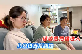 媳妇怀孕不能养宠物，婆婆决定要把猫送人，儿媳直接翻脸不认人视频封面