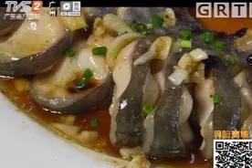 鲶鱼怎么做好吃？广东大厨教你制作豉汁蒸鲶鱼，味道是真的香！