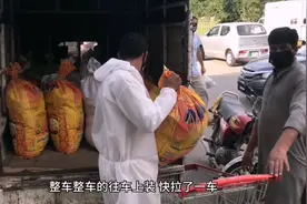 实拍疫情下的巴基斯坦，囤粮食用大货车拉！超市都被搬空了视频封面