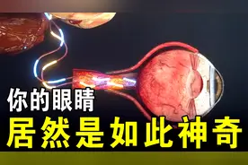 你知道你的眼睛有多么神奇吗？动画带你一探究竟，真是不可思议视频封面