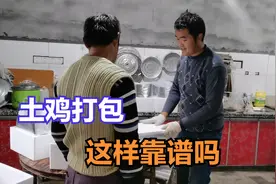农村小伙网上卖土鸡，看看是怎样包装发货的，大家觉得这样靠谱吗视频封面