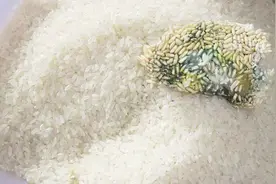 教你辨别新米还是陈米，瞧一眼这里就清楚，以后不再花冤枉钱