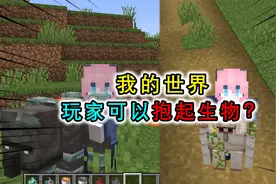 我的世界：玩家可以把生物抱起来？看着像手办，可以搬去别的地方