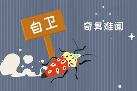 臭大姐为什么会放臭屁？