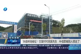 乡里村里和稀泥？屏南一男子56亩林地被征，补偿款却给了别人视频封面