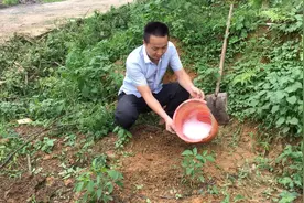 小伙抓蚯蚓有妙招，教你如何让蚯蚓自动从土里钻出来？这方法绝了