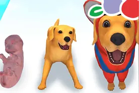 狗狗模拟器：狗狗帮旋风腿对付坏蛋，还吓跑了小偷视频封面