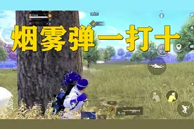 平原四队人决战，最后进圈刺激2V10，八个烟雾弹绝境吃鸡