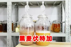 在家用黑麦仁和麦芽自酿黑麦伏特加，刚出的酒喝起来这么辣视频封面