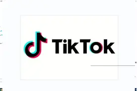 Tiktok国际版 PC端下载教程【支持登录+点赞+评论】