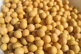 黄豆不要再打豆浆喝了，一泡一煮一揉，做粗粮馒头，营养美味好吃