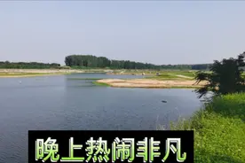 河南南阳宛新交界处的白河滩，是钓鱼爱好者的天堂，带大家看看！视频封面