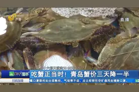 吃蟹正当时！中秋过后，青岛蟹价三天降一半，10月的螃蟹最肥美视频封面