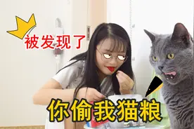 主人偷吃猫粮，被猫当场抓包，猫：家里穷到这个地步了？