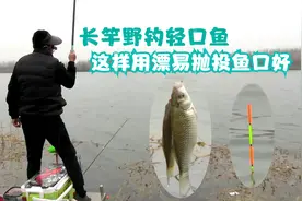 长竿野钓轻口鱼，这样来用漂，鱼口十拿九稳！视频封面