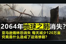 2064年亚马逊雨林可能消失，如今每天减少120万亩，究竟咋回事？