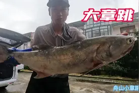 一条就几千的鱼让人肾上腺素飙升，拉力犹如推土机，让人兴奋不已视频封面