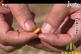 人参年份可从叶片的数量来分辨，但九年以后，茎叶的变化不大