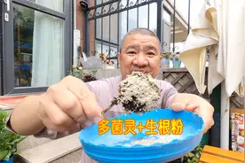 多菌灵和生根粉能不能混配？按什么方法配合使用更好？视频封面