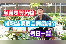 多菌灵等药物，植物结果后会残留吗？还可以食用吗？每日一答。视频封面