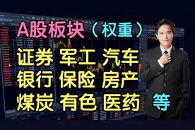 A股板块（权重）：证券、军工、汽车、银行、保险、房产、中药等