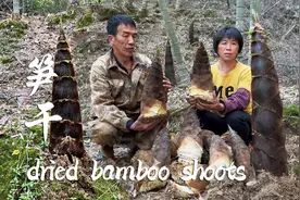 竹林里遍地春笋，阿嬷挖来晒笋干，暴晒5日片片金黄挂满“白霜”视频封面