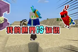 我的世界：鹦鹉其实可以用小麦种子驯服，潜影贝遇水会瞬移