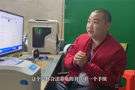 办理陆龟养殖证入门教程，手续有些许繁琐视频封面