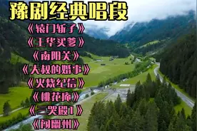 豫剧经典唱段《辕门斩子》《王华买爹》《桃花庵》《三哭殿》