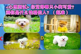 心理测试 你觉得哪只小狗可爱？测你是什么性格的人？（超准）