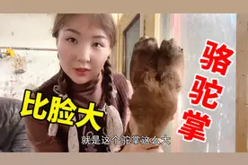 新疆骆驼肉有多受欢迎？现宰骆驼10几分钟就卖完，一头能卖2万元