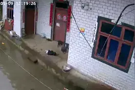 2岁留守儿童雨天屋檐下席地而睡 妈妈：看到感觉心里很愧疚视频封面