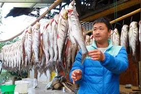 小韩买300斤翘嘴鱼，腌制好清洗干净才漂亮，制作腊鱼和风干鱼