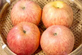 天冷了苹果不要直接吃了，教你美味做法，营养香甜，暖心又暖胃