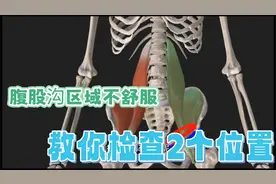 腹股沟区域出现不适，分析思路教给你，2个位置是重点