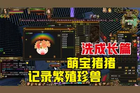 天龙八部端游：记录繁殖萌宝猪猪（上），洗成长篇。