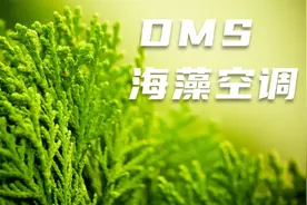 DMS——纯天然海藻空调