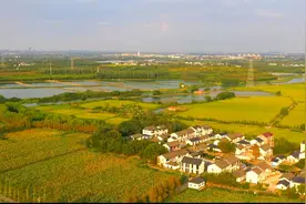 中国一线城市魔都上海的郊区什么样？小编航拍下上海青浦区视频封面