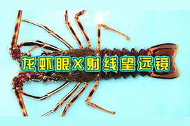 中国科学家受龙虾眼启发，研发出世界最先进X射线望远镜视频封面