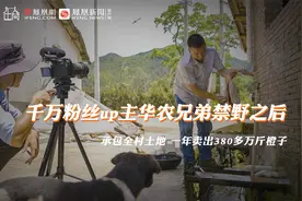 放生竹鼠后的华农兄弟：承包全村土地 一年卖出380多万斤橙子视频封面