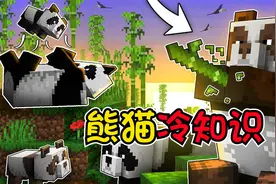 我的世界：MC中的迷之生物，熊猫冷知识你总有一个不知道！